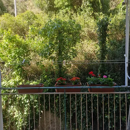 Tavakoli Private *